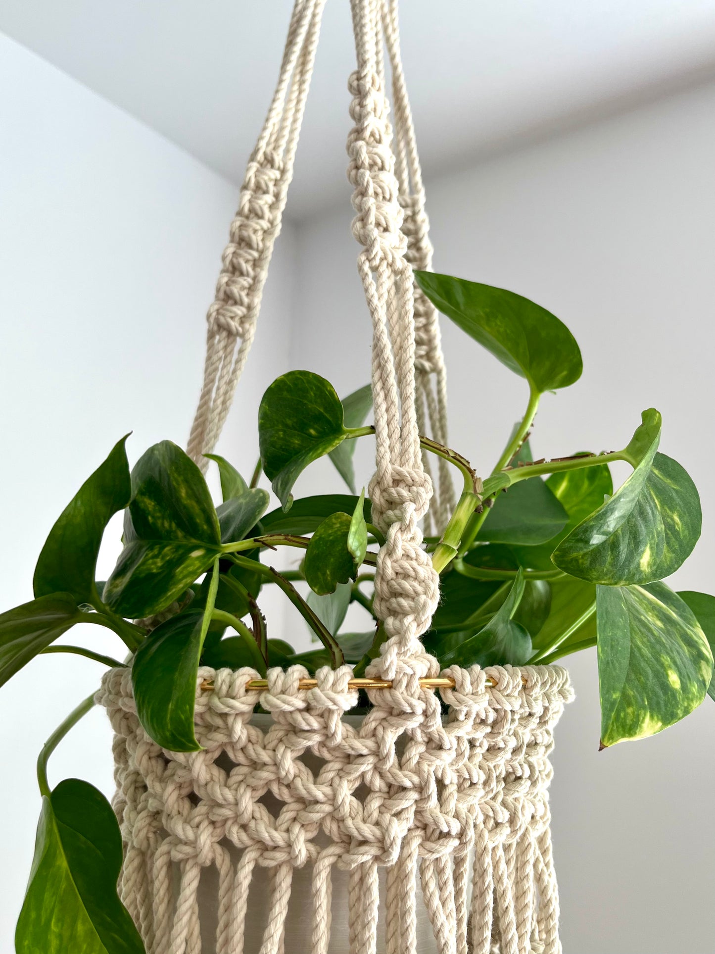 Jardinière panier