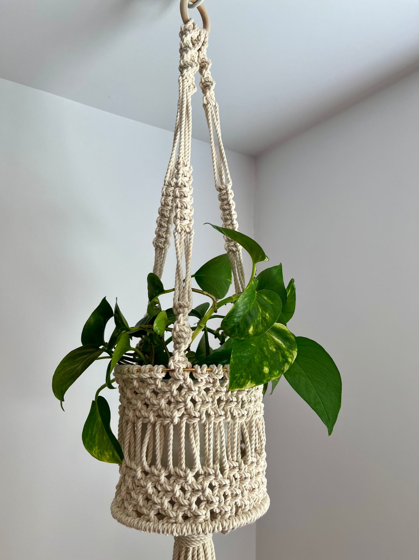 Jardinière panier