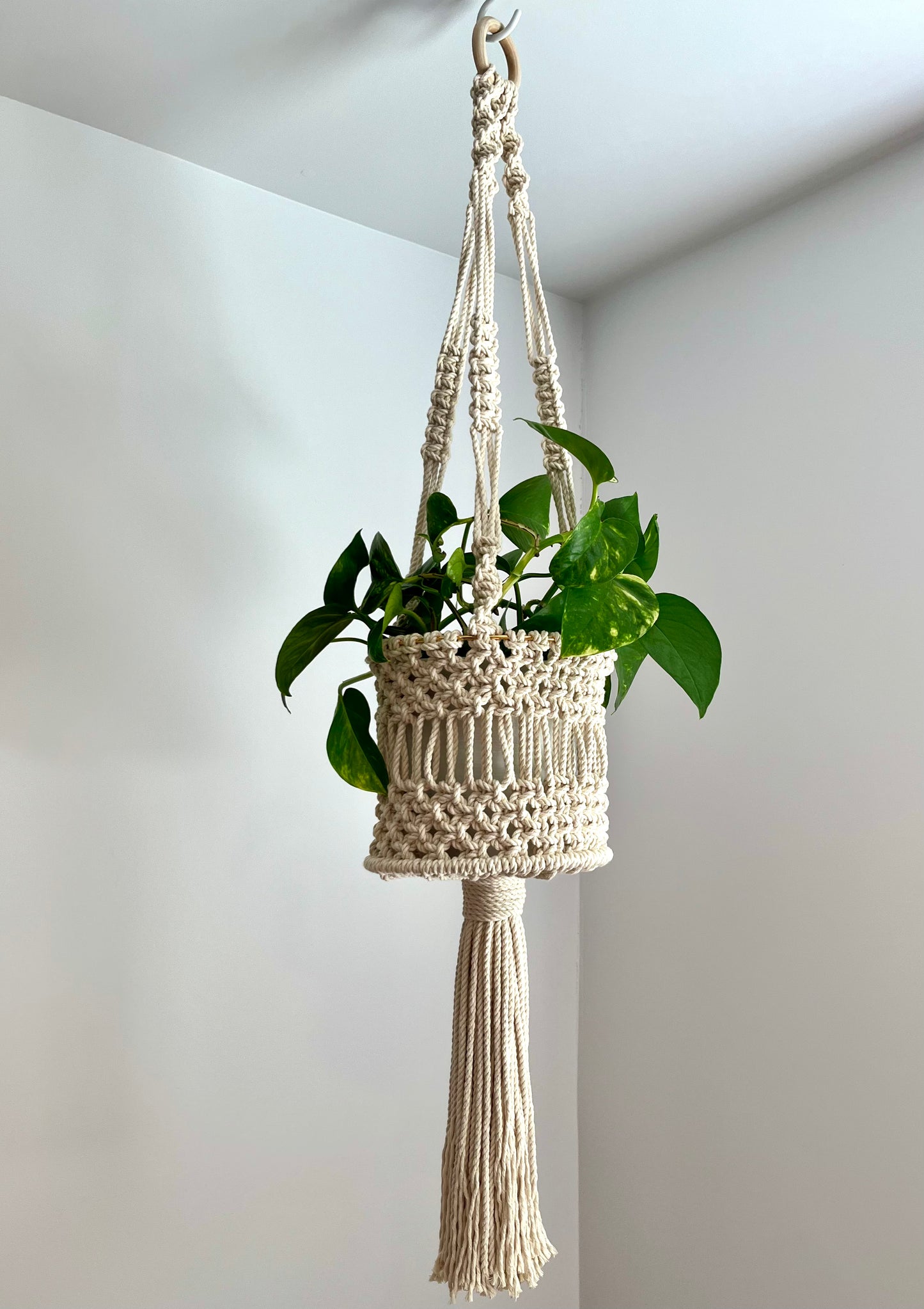 Jardinière panier
