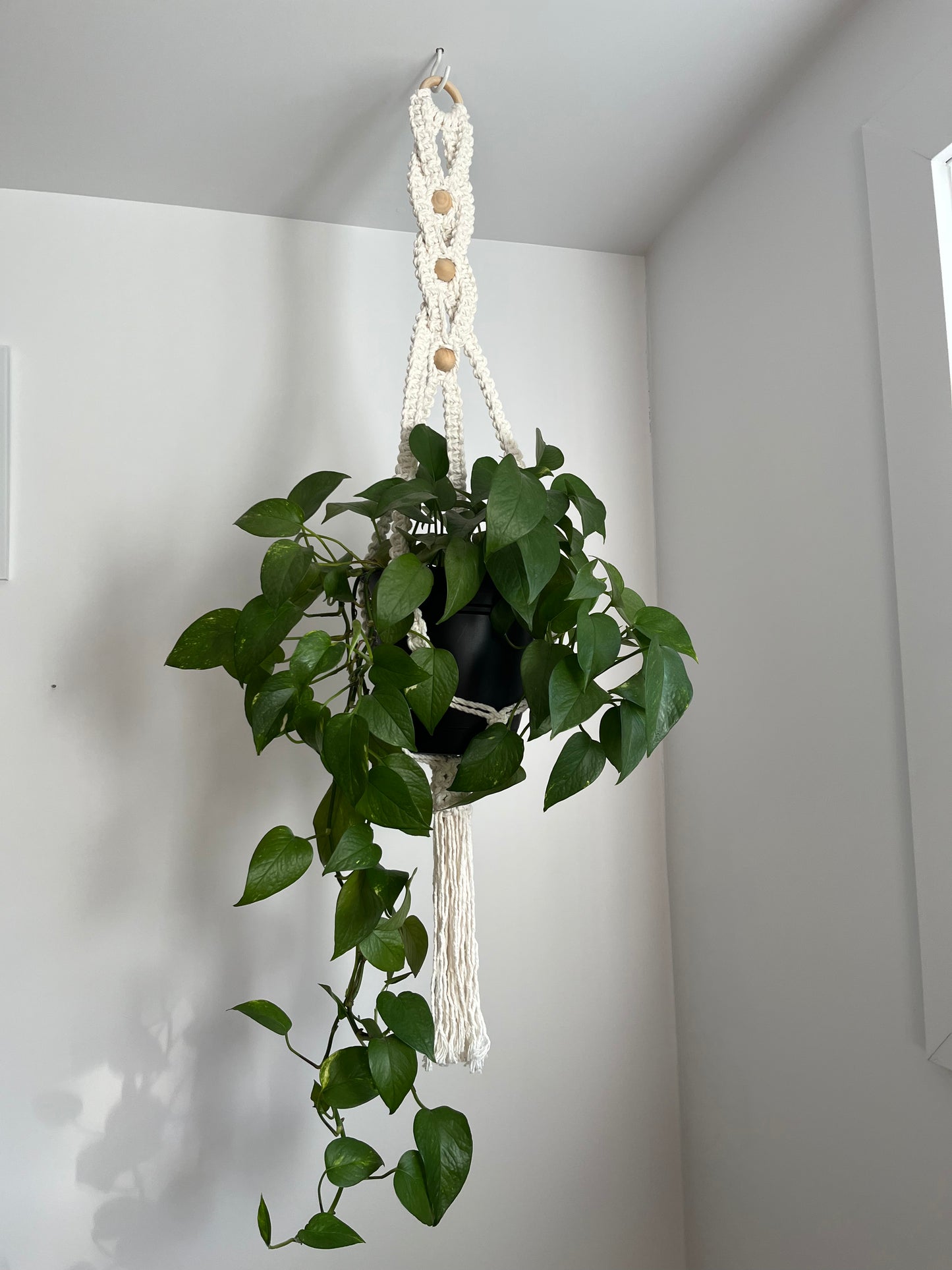 Jardinière croisée