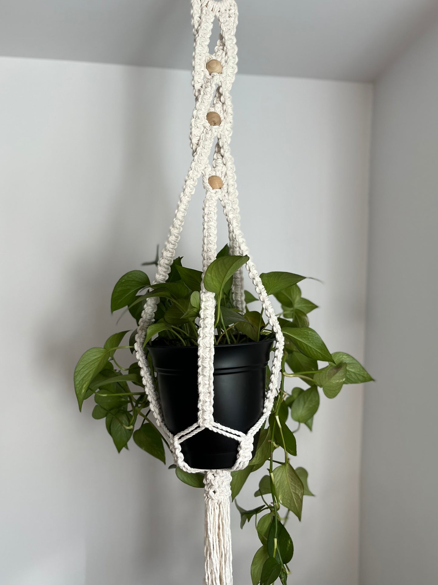 Jardinière croisée