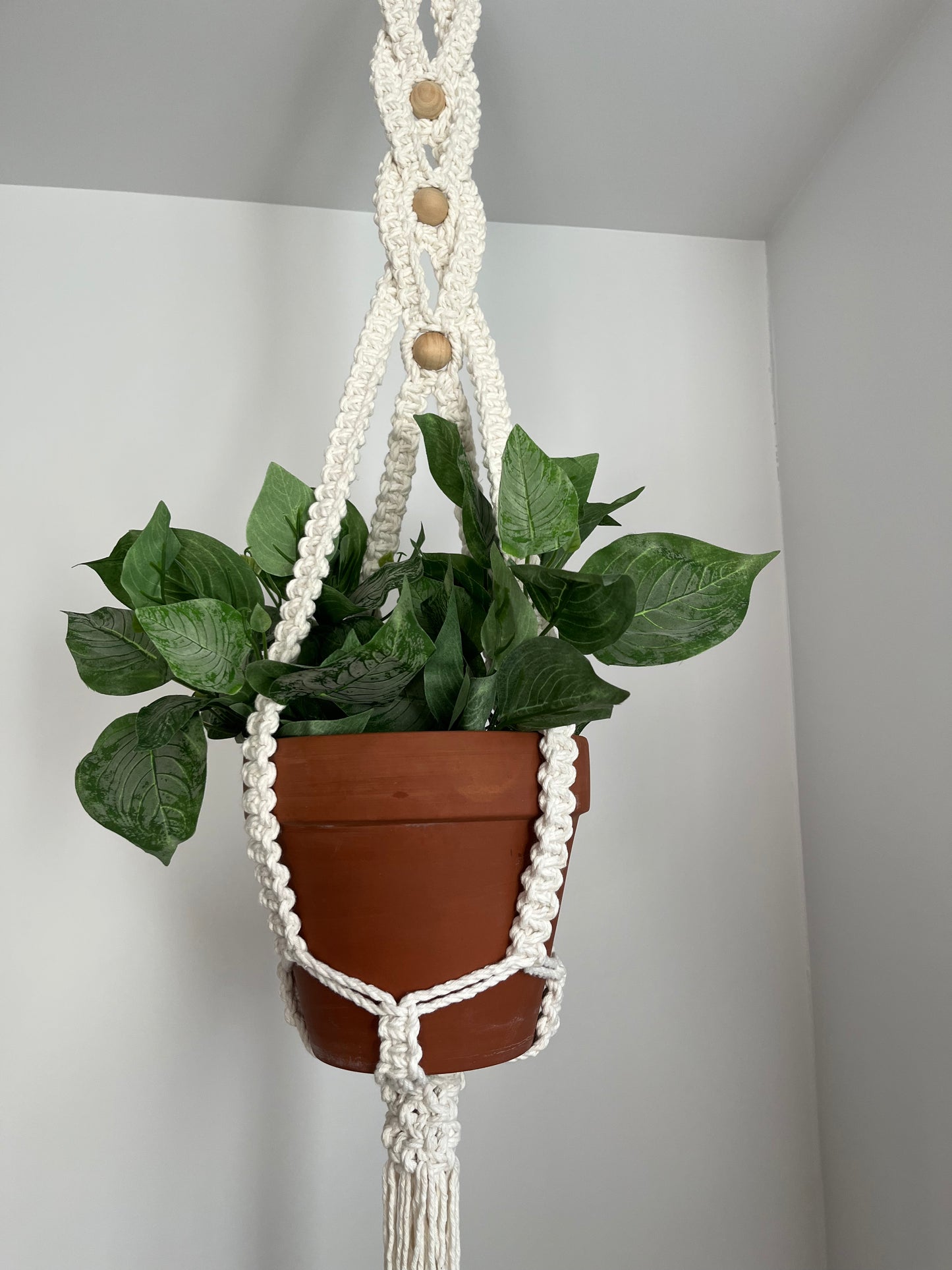 Jardinière croisée