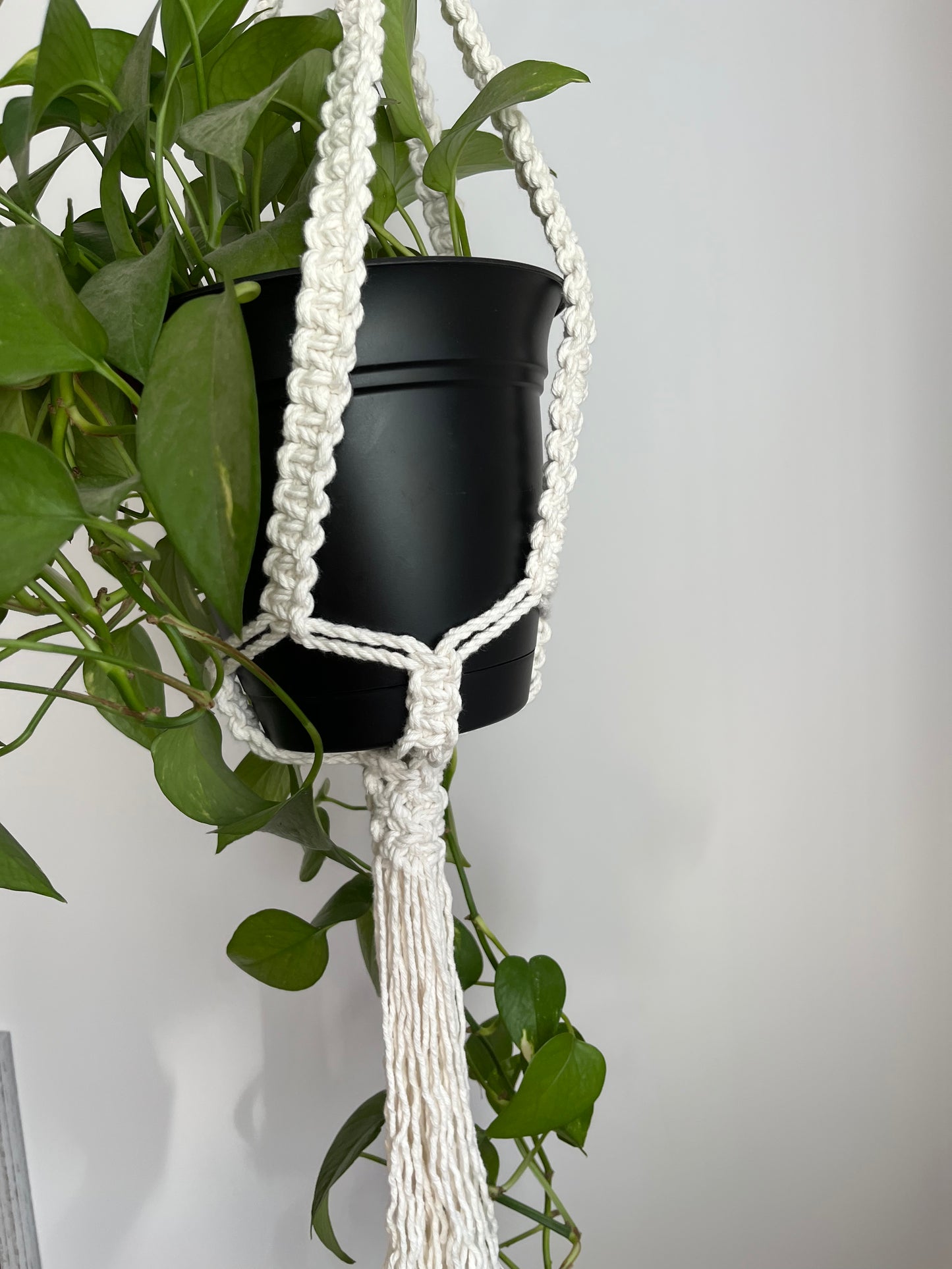 Jardinière croisée