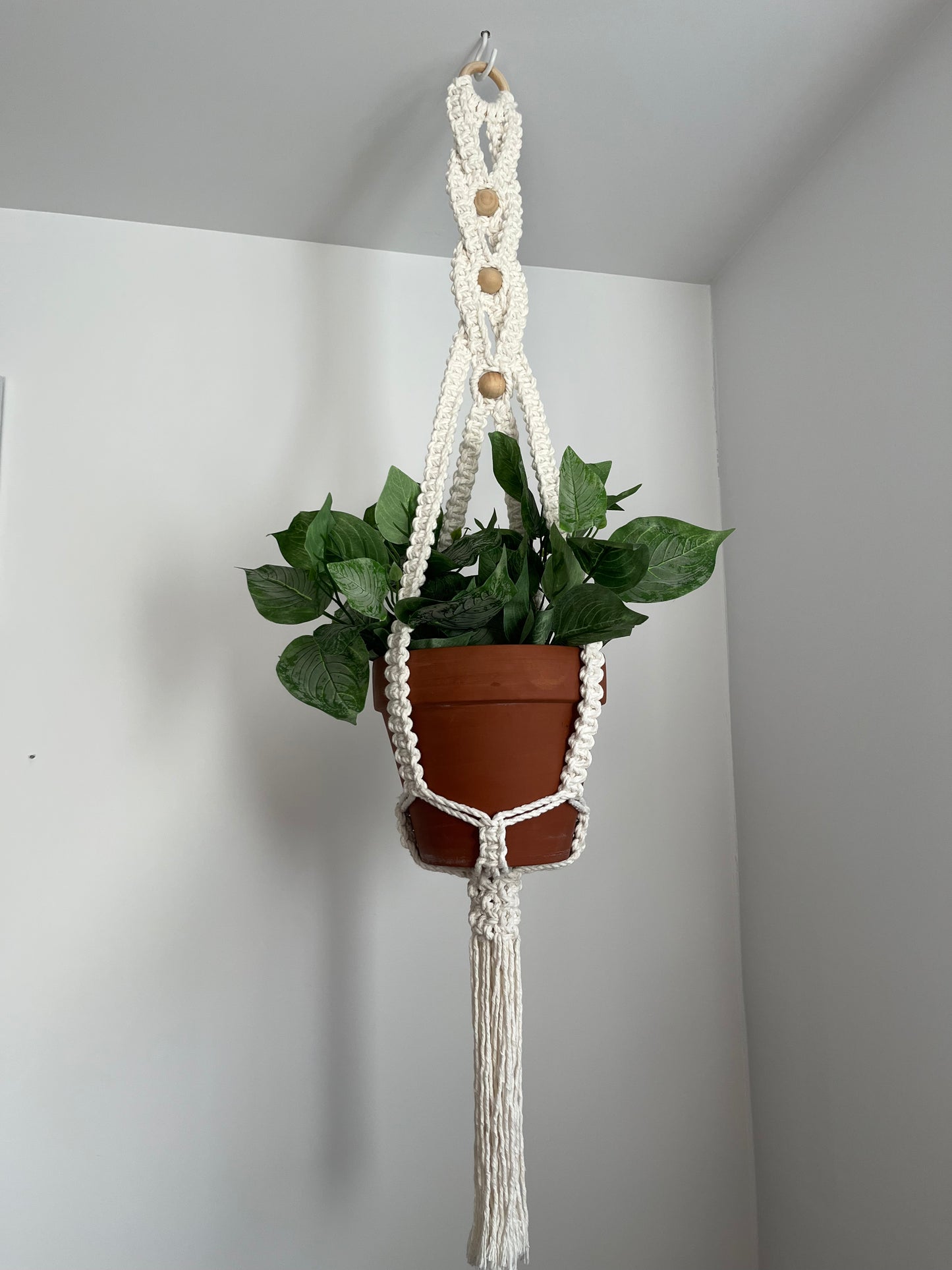 Jardinière croisée