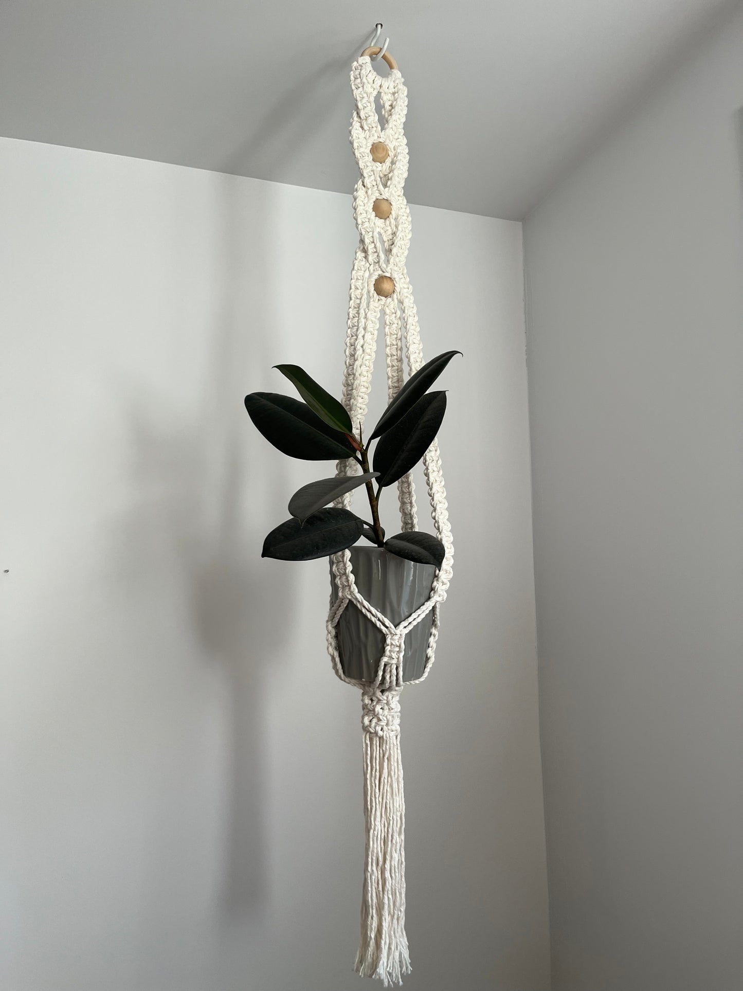 Jardinière croisée