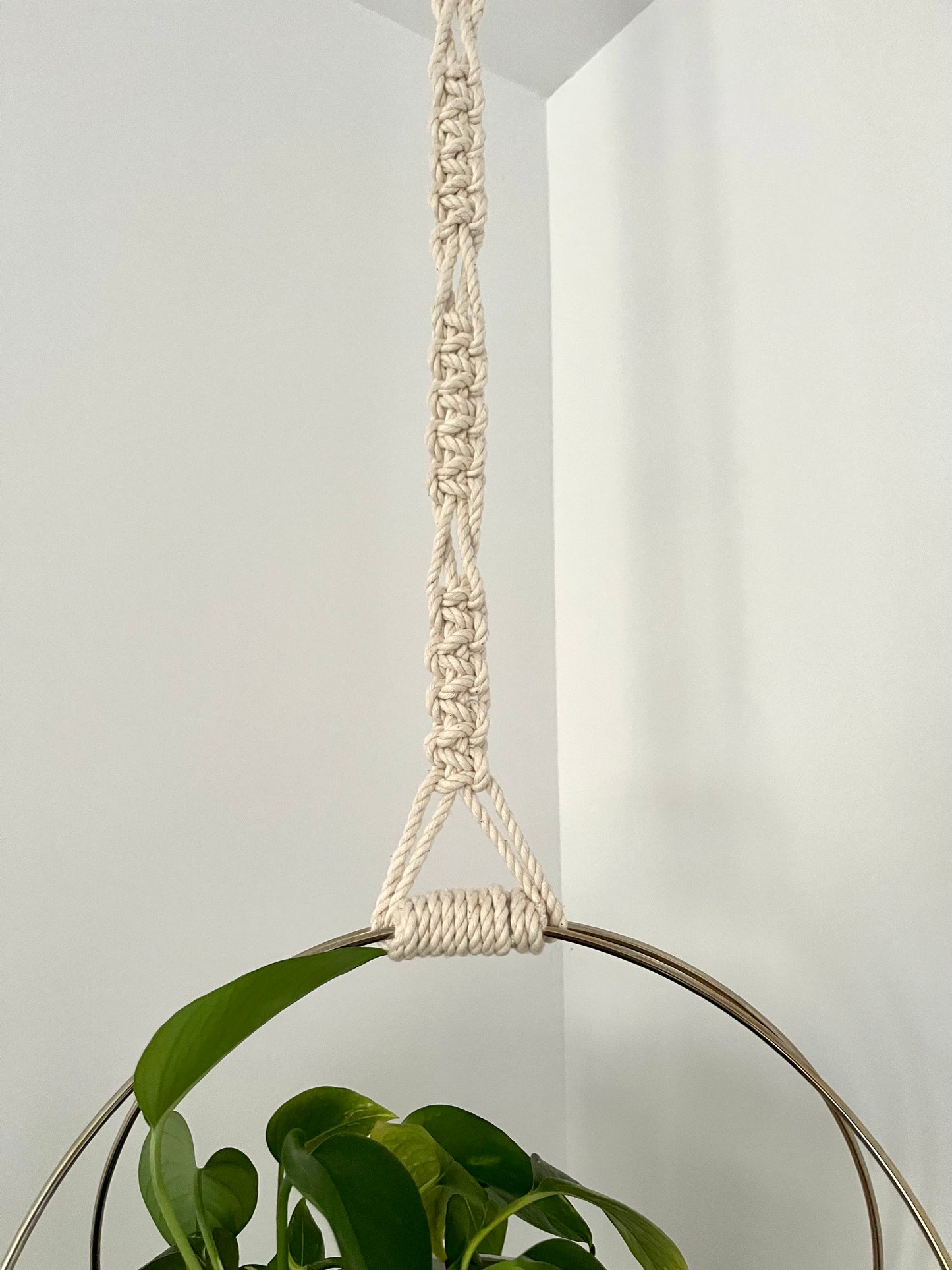 Jardinière aux anneaux