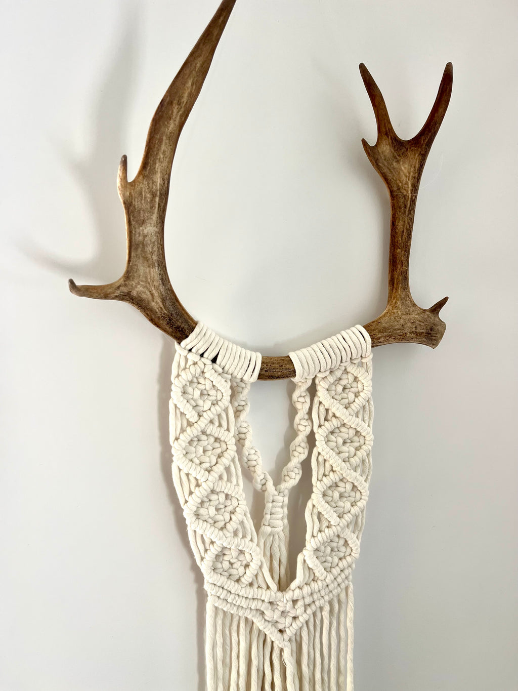 Caribou blanc