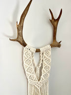 Caribou blanc