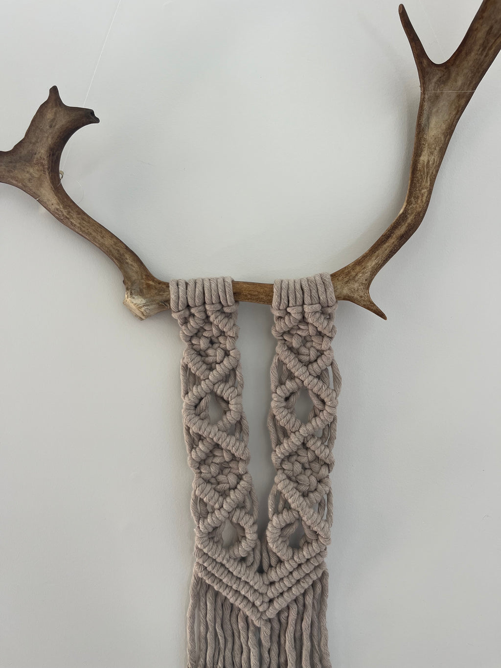 Mini caribou gris