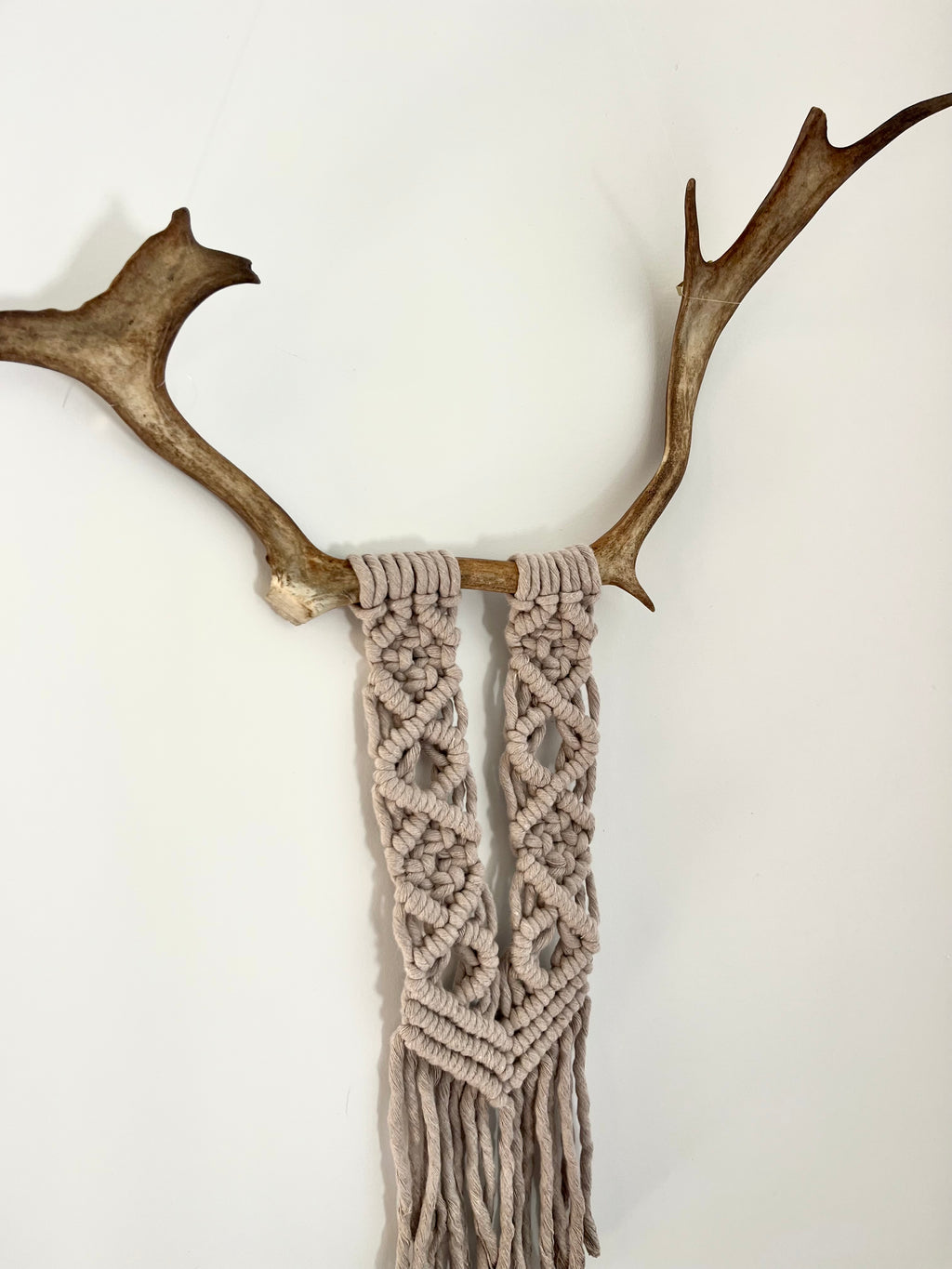 Mini caribou gris