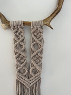 Mini caribou gris