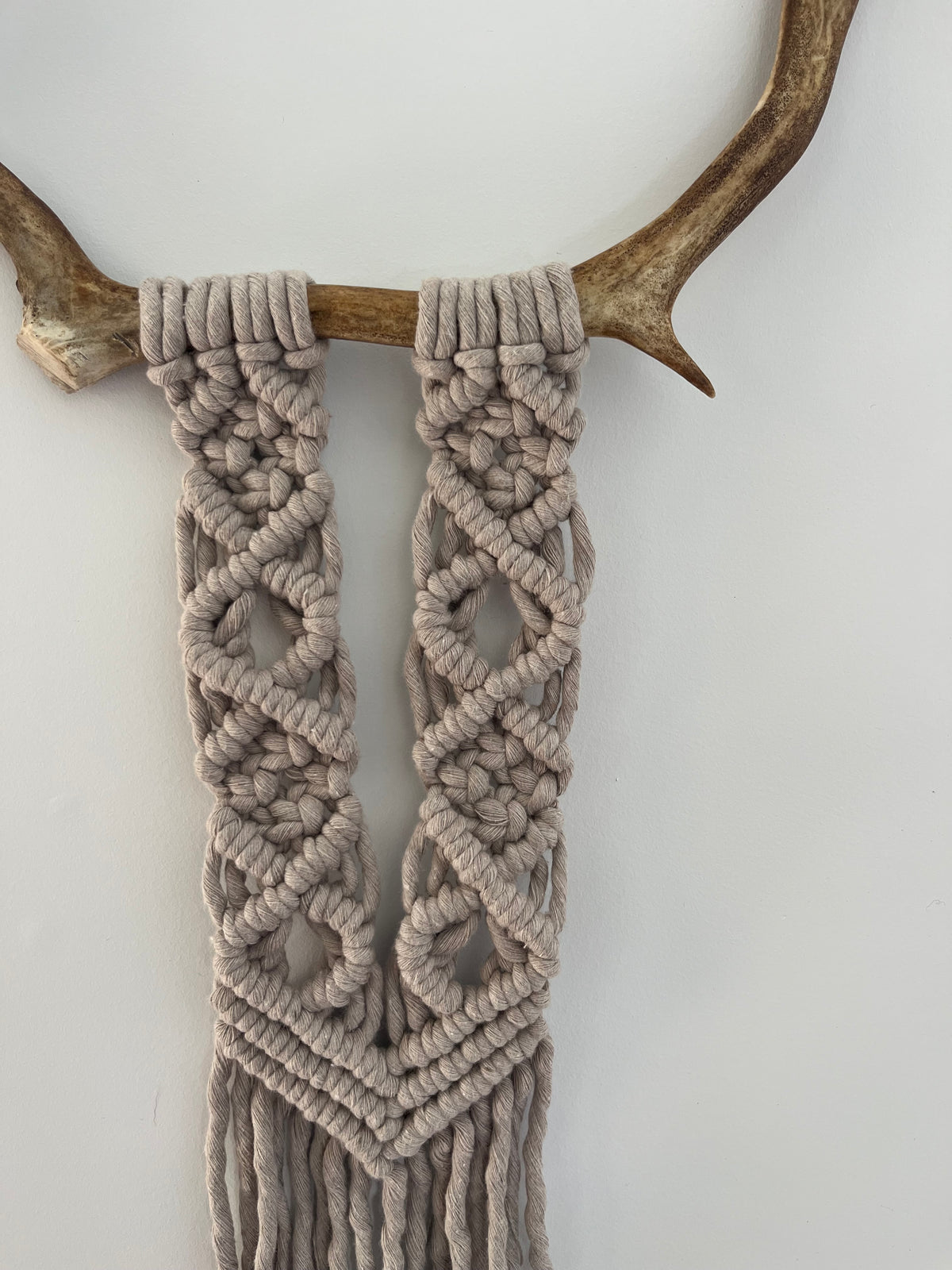 Mini caribou gris