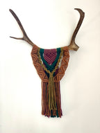 Caribou coloré
