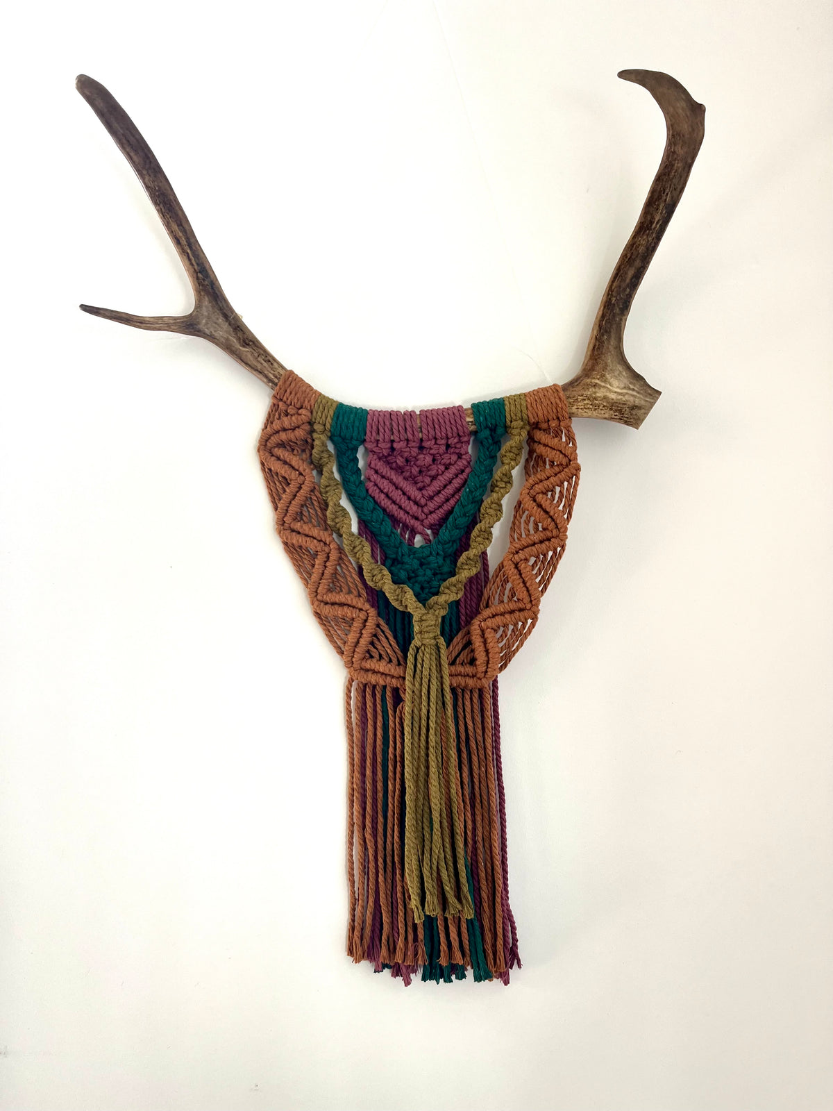 Caribou coloré