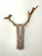 Mini caribou gris