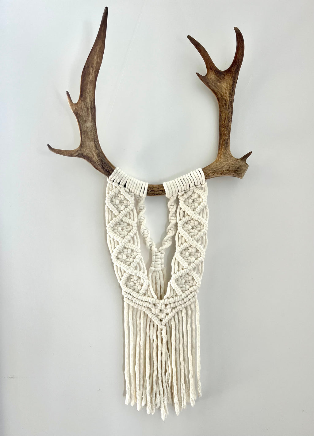 Caribou blanc